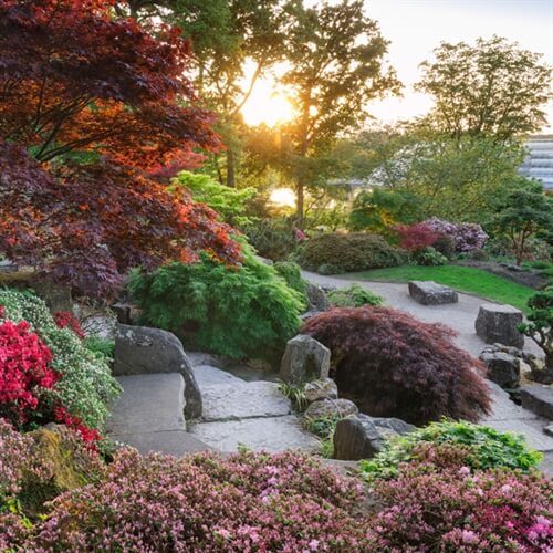 Afternoon Tea for Two at RHS Wisley in Surrey  Afternoon Tea for Two at RHS Wisley in Surrey